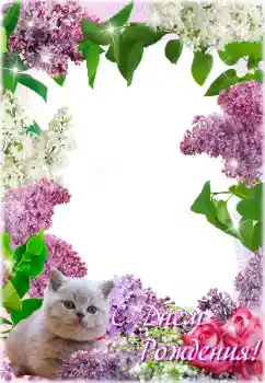 Photo effect from category Birthday cards № 205692. An inscription on the frame: Happy Birthday!