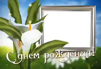 Photo effect from category Birthday cards № 31718. An inscription on the frame: Happy Birthday!