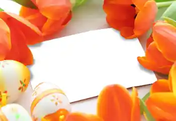 Photo effect from category Easter cards № 93170