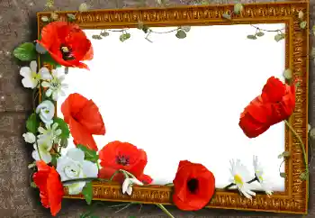 Photo effect from category Different holidays № 112418. An inscription on the frame: Victory in Europe Day Photo effect from category Different holidays № 112418. An inscription on the frame: Victory in Europe Day