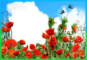 Photo effect from category Different holidays № 112488. An inscription on the frame: Victory in Europe Day Photo effect from category Different holidays № 112488. An inscription on the frame: Victory in Europe Day