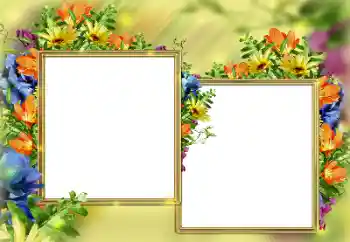 Photo effect from category Different holidays № 116015. An inscription on the frame: Congratulations! Photo effect from category Different holidays № 116015. An inscription on the frame: Congratulations!