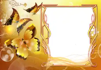 Photo effect from category Different holidays № 116083. An inscription on the frame: Congratulations! Photo effect from category Different holidays № 116083. An inscription on the frame: Congratulations!
