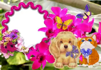 Photo effect from category Different holidays № 116084. An inscription on the frame: Congratulations! Photo effect from category Different holidays № 116084. An inscription on the frame: Congratulations!