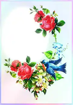Photo effect from category Different holidays № 116213. An inscription on the frame: Congratulations! Photo effect from category Different holidays № 116213. An inscription on the frame: Congratulations!