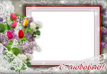 Photo effect from category Different holidays № 139926. An inscription on the frame: Congratulations! Photo effect from category Different holidays № 139926. An inscription on the frame: Congratulations!