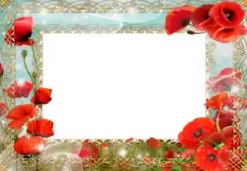 Photo effect from category Different holidays № 151740. An inscription on the frame: Victory in Europe Day