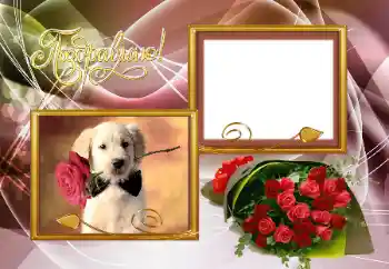 Photo effect from category Different holidays № 153066. An inscription on the frame: Congratulations!