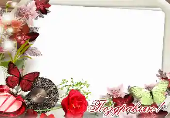 Photo effect from category Different holidays № 159471. An inscription on the frame: Congratulations!