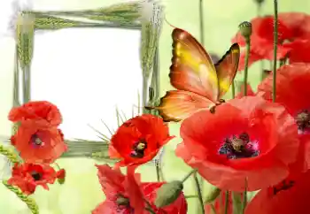 Photo effect from category Different holidays № 168001. An inscription on the frame: Victory in Europe Day