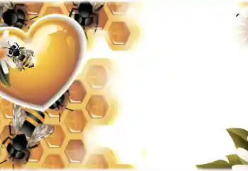Photo effect from category Different holidays № 171713. An inscription on the frame: Happy Beekeeper's Day!