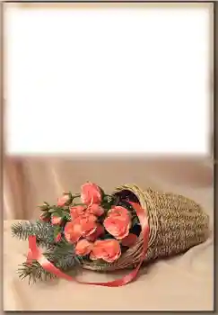 Photo effect from category Different holidays № 171774