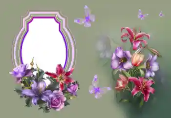 Photo effect from category Different holidays № 183494. An inscription on the frame: Congratulations!
