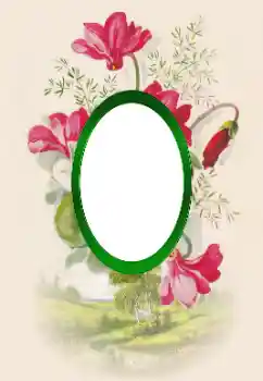 Photo effect from category Different holidays № 185837. An inscription on the frame: Congratulations!