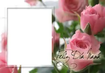 Photo effect from category Different holidays № 60152. An inscription on the frame: Happy Mothers Day! Photo effect from category Different holidays № 60152. An inscription on the frame: Happy Mothers Day!