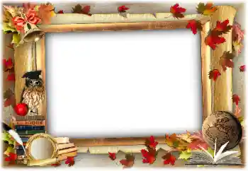 Photo effect from category Different for school № 138618