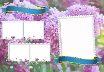 Photo effect from category Different for school № 205350