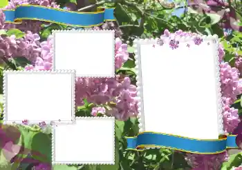 Photo effect from category Different for school № 205360