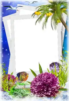 Photo effect from category Summer № 124280 Photo effect from category Summer № 124280