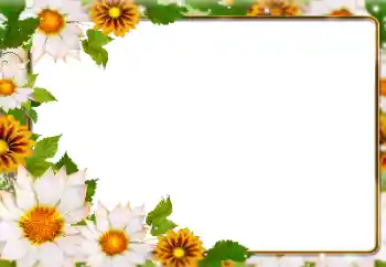 Photo effect from category Summer № 138646 Photo effect from category Summer № 138646