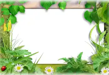 Photo effect from category Summer № 138647 Photo effect from category Summer № 138647