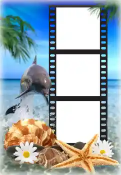 Photo effect from category Summer № 142225 Photo effect from category Summer № 142225