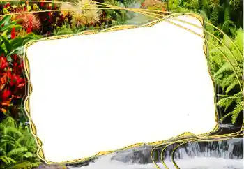 Photo effect from category Summer № 14917 Photo effect from category Summer № 14917