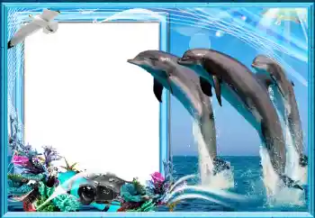 Photo effect from category Summer № 155995 Photo effect from category Summer № 155995