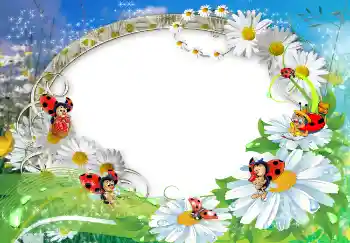 Photo effect from category Summer № 1572 Photo effect from category Summer № 1572