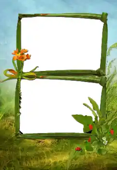 Photo effect from category Summer № 160630 Photo effect from category Summer № 160630
