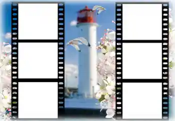 Photo effect from category Summer № 167969 Photo effect from category Summer № 167969