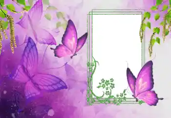 Photo effect from category Summer № 179562 Photo effect from category Summer № 179562