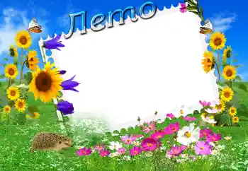 Photo effect from category Summer № 18193. An inscription on the frame: Summer Photo effect from category Summer № 18193. An inscription on the frame: Summer