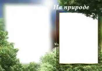 Photo effect from category Summer № 182141. An inscription on the frame: On the nature Photo effect from category Summer № 182141. An inscription on the frame: On the nature
