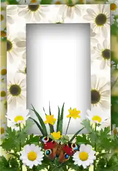 Photo effect from category Summer № 19247 Photo effect from category Summer № 19247