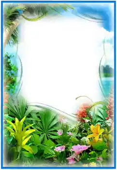 Photo effect from category Summer № 25474 Photo effect from category Summer № 25474