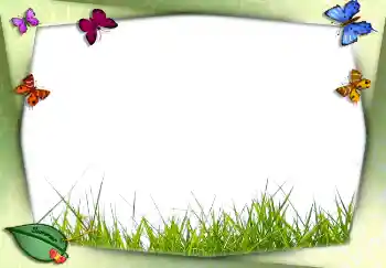 Photo effect from category Summer № 2756