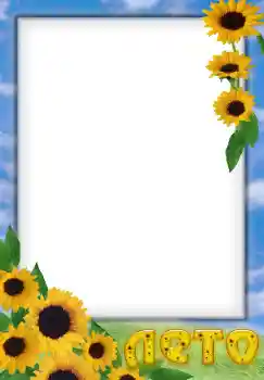 Photo effect from category Summer № 49594. An inscription on the frame: Summer