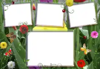 Photo effect from category Summer № 66987 Photo effect from category Summer № 66987