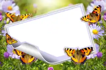 Photo effect from category Summer № 83943 Photo effect from category Summer № 83943