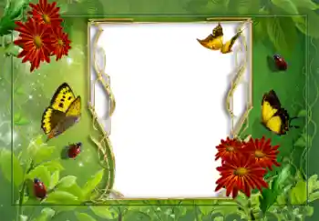 Photo effect from category Summer № 8625
