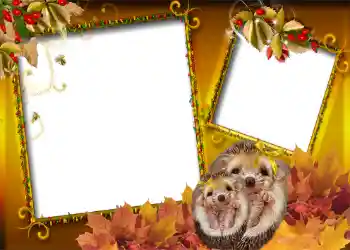 Photo effect from category Autumn № 1006 Photo effect from category Autumn № 1006