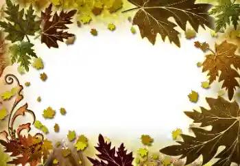 Photo effect from category Autumn № 101278 Photo effect from category Autumn № 101278