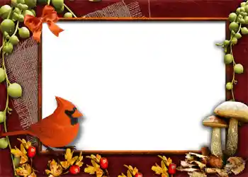 Photo effect from category Autumn № 1013 Photo effect from category Autumn № 1013
