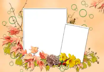 Photo effect from category Autumn № 103852 Photo effect from category Autumn № 103852