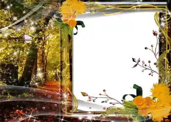 Photo effect from category Autumn № 1127