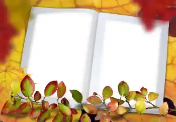 Photo effect from category Autumn № 114578 Photo effect from category Autumn № 114578