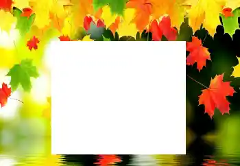 Photo effect from category Autumn № 116137