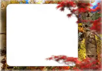 Photo effect from category Autumn № 127331 Photo effect from category Autumn № 127331