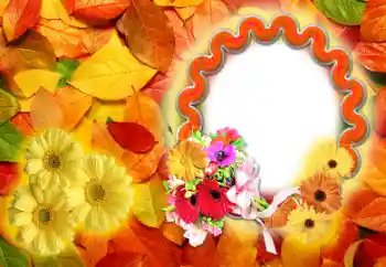 Photo effect from category Autumn № 142255